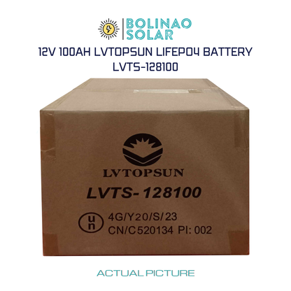 LVTOPSUN 12V 100AH Lithium Iron Phosphate (LiFePO4) Rechargeable Battery